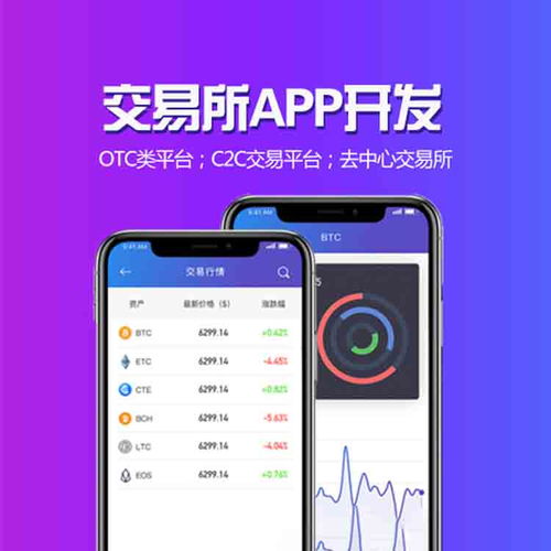 東莞軟件開發(fā)公司
